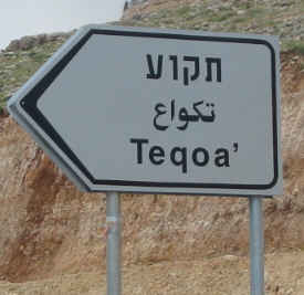 Straßenschild Tekoa